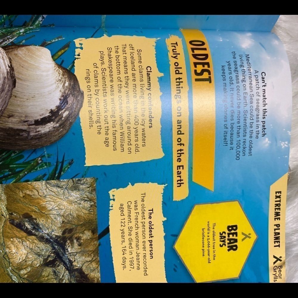 Bear Grylls Extreme Planet book - Picture 6 of 15